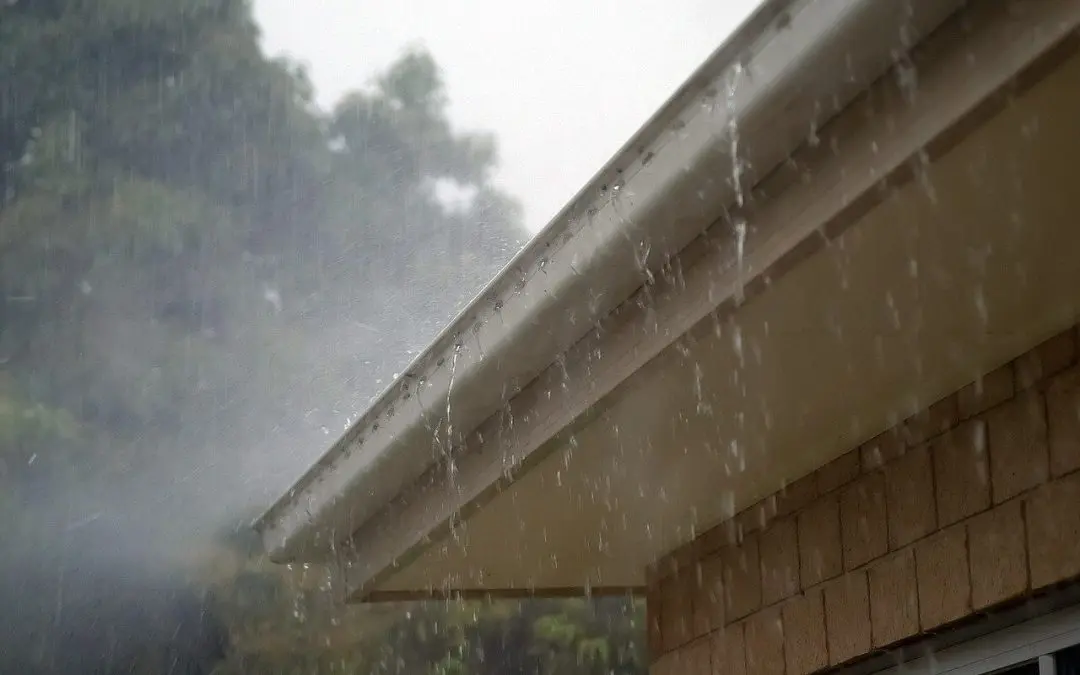 How and When to Clean Your Gutters