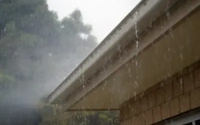 How and When to Clean Your Gutters